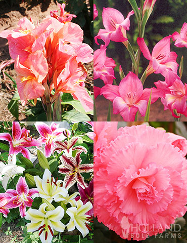 Charming Pink Summer Flowers Collection