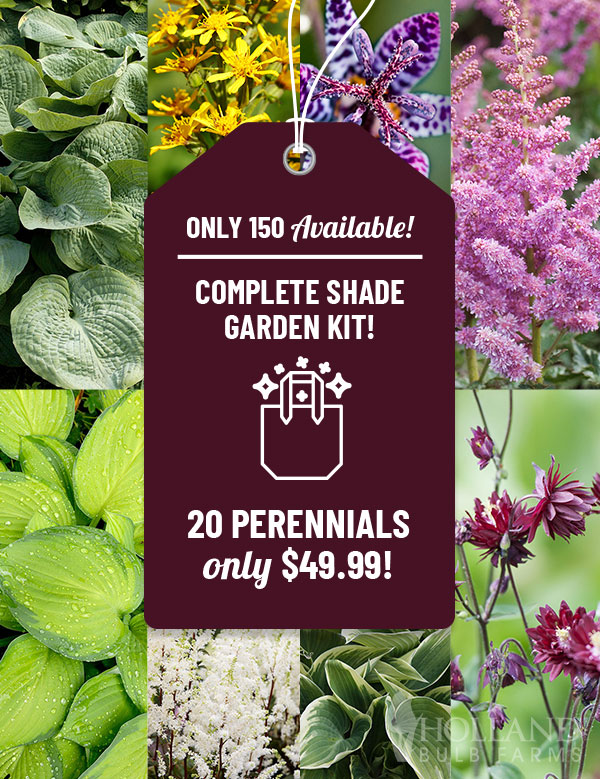 Complete Perennial Shade Garden Kit