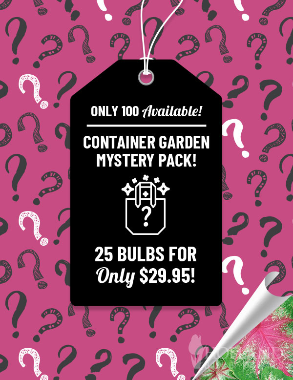 Container Garden Mystery Pack