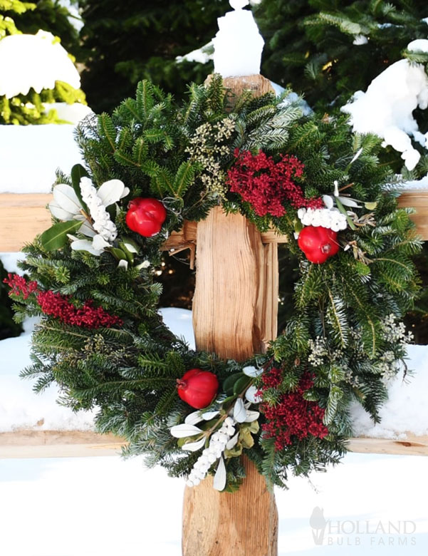 Premium Kringle Christmas Wreath 24"