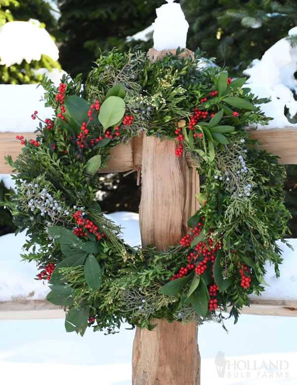 Premium Mackinaw Christmas Wreath 24"