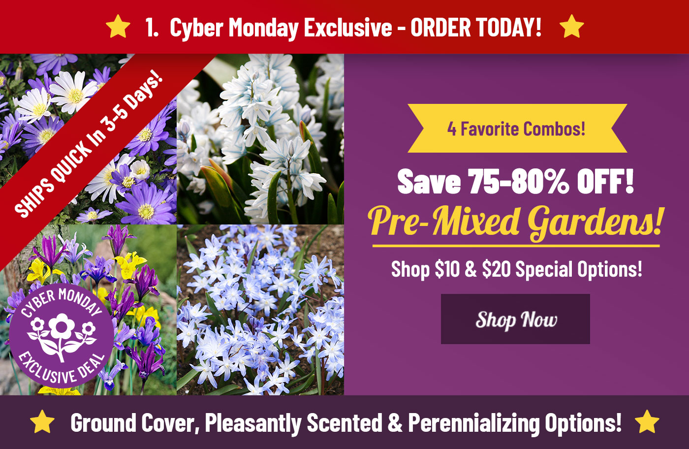 Shop NEW Pre-Mixed Gardens on Sale Now!