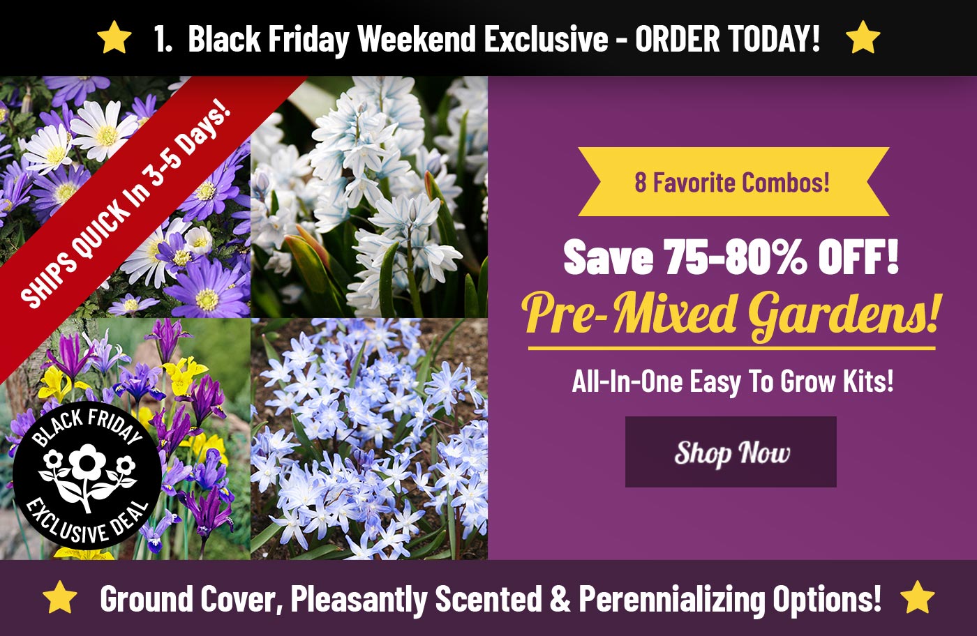 Shop NEW Pre-Mixed Gardens on Sale Now!