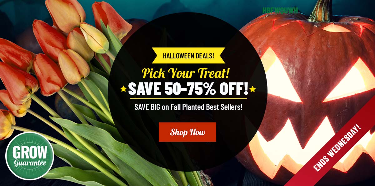 PICK YOUR TREAT | 50-75% OFF 45+ Faves!