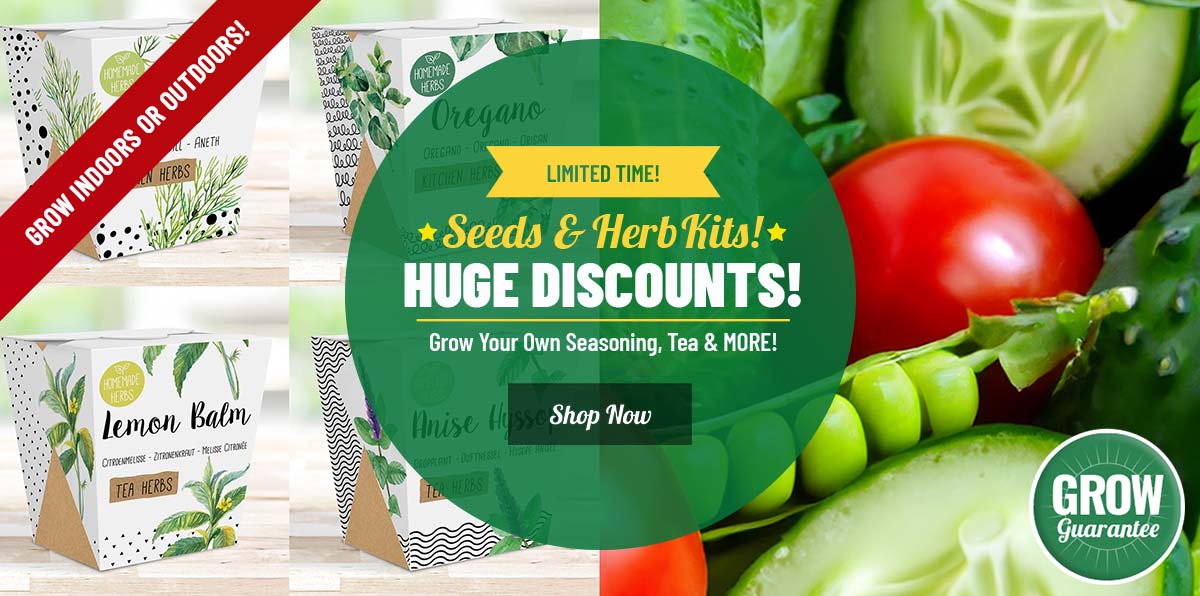 Shop Brand NEW Seeds and Herb Kits!